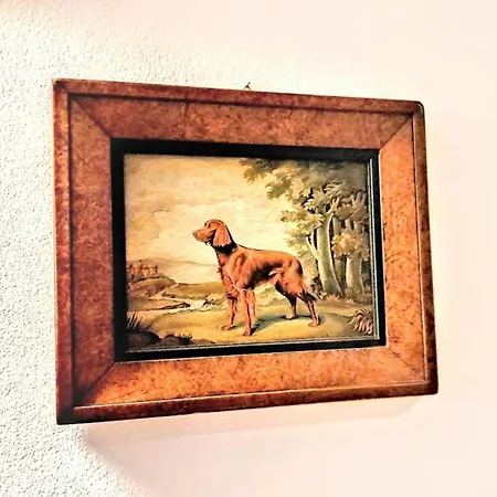 New Luxury Jacuzzi - 100sqm Historic Center - 50m From Parking Trient